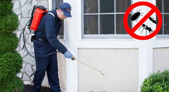 Sarıveliler Hamam Böceği İlaçlama böcek ilaçlama ve haşere kontrolü — ilaclama-tr.com